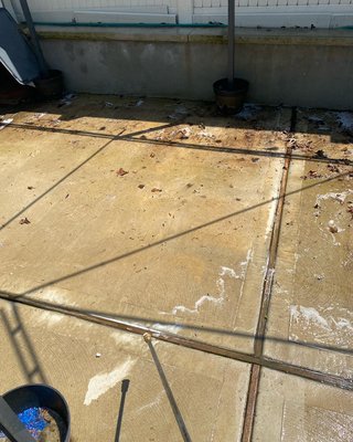 Before results of backyard concrete cleaning