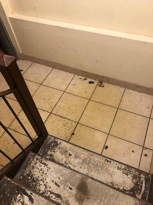 flooded hallway with floating feces