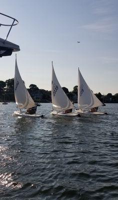 Sunfish Racing