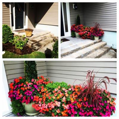 Some new planting a to spruce up the front entrance.