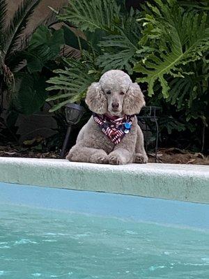 Chilling by the pool after a day with Tim!  Fantastic!