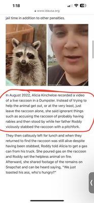 What they did to the raccoon