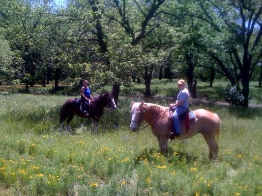 Trail rides