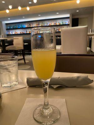 Mimosa