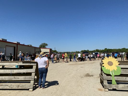 The line to weigh your strawberries