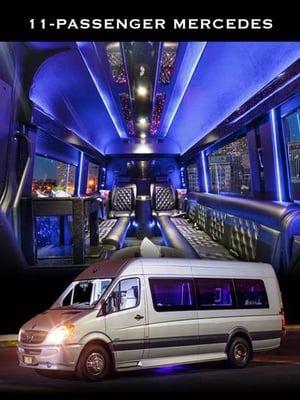 11Passenger Mercedes Sprinter