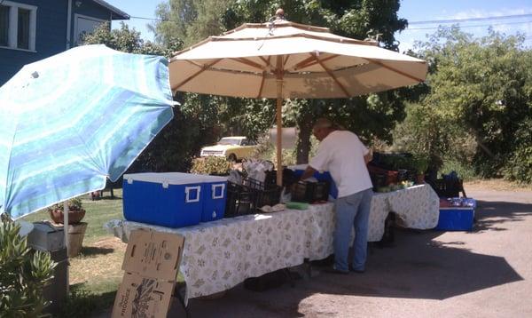 Neil restocking produce at his stand.