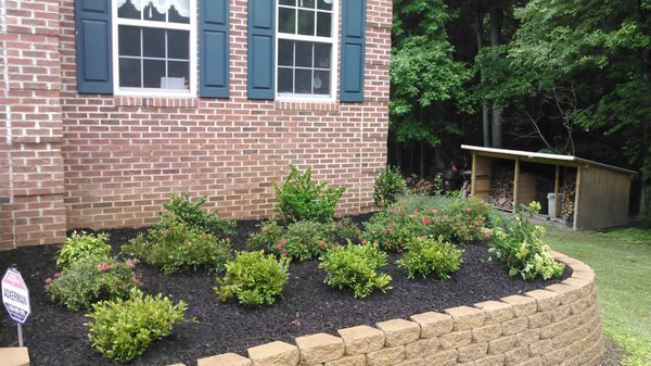 New House Plantings