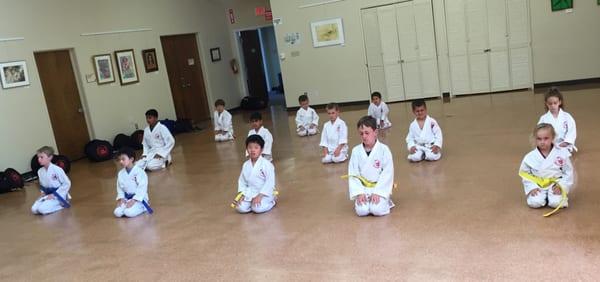 City of Saratoga offering Chang Tai Do Karate & Fitness, Inc for 13 years. For more information contact: Kancho John Chang 408-507-2139.