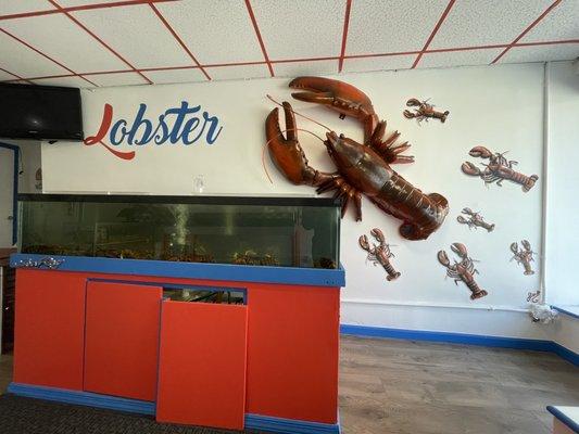 Pick your own Lobster!