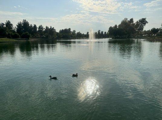 Lake Harveston in Temecula