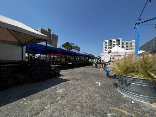 Farmers market