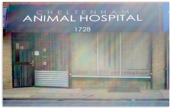 Cheltenham Animal Hospital