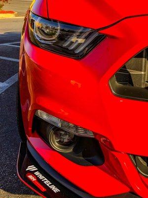 Red Mustang 5.0