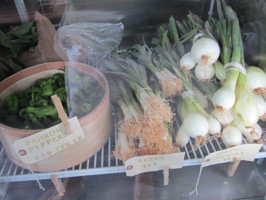 Padron peppers, leeks, and spring onions.