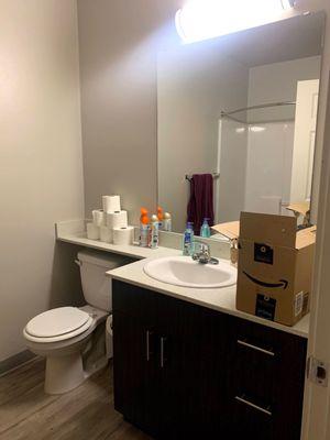 Bathroom during move in. Very Spacious for a 2 bed 1 bath Apartment with granite top and dark grey cabinet space