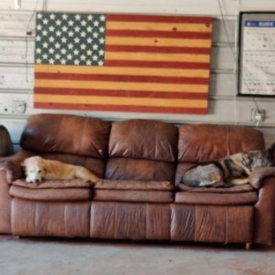 The dogs relaxing.