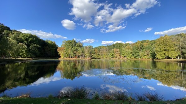 Lake view of small island