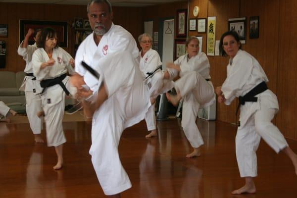 Kyoshi Llewelyn conducts and trains with most classes