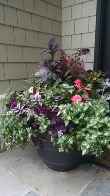 Container garden for client