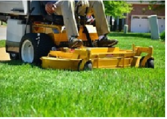 Making your Lawn look great