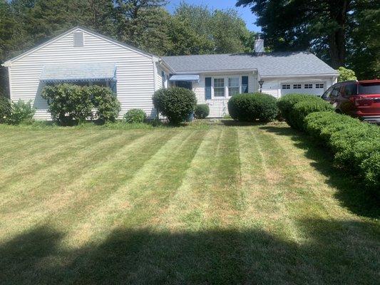 Stripped lines on a lawn!!!