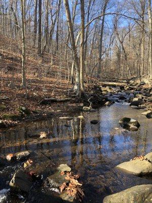 Dismal Brook looking not so dismal.