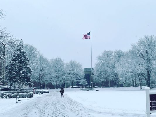 Morgan Park Academy