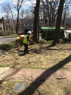 Tree Service