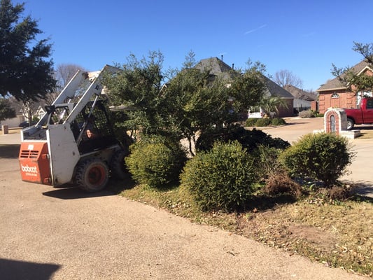 Before picture of a flowerbed