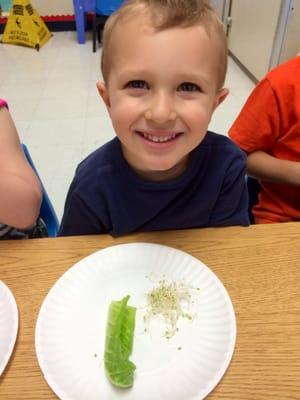 They learned about dinosaurs all week and even ate like herbivores to! :)