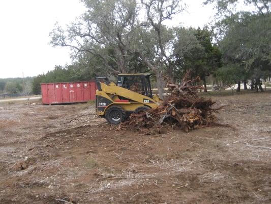 MULCH AND STUMP REMOVAL