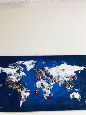 Each butterfly on this world map represents the location of IRCSGV clients' ancestral homes.