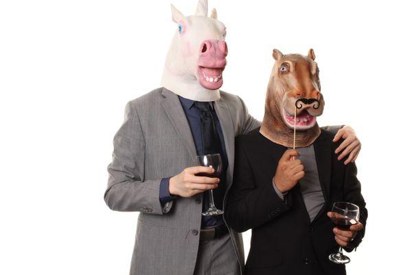 Photo Booth Rental - Party Animals