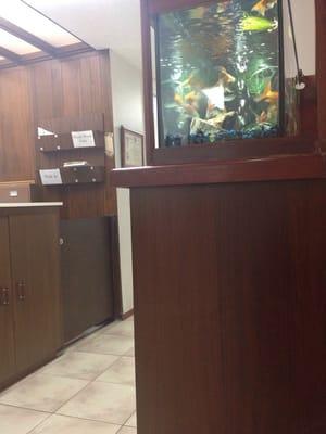 ive been starring at this fish tank forever