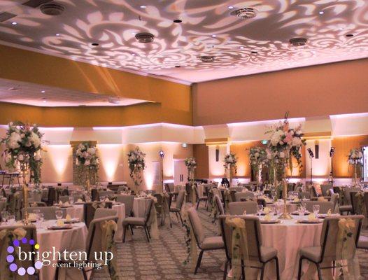 Rocklin Event Center Warm Champagne Uplighting Design Lighting | Brighten Up Event Lighting