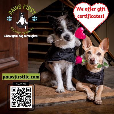 Give the gift of a well behaved dog !