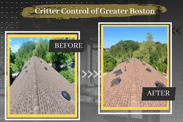 Critter Control of Greater Boston