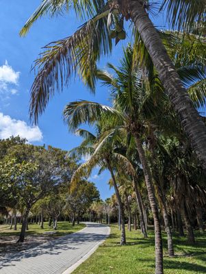 path around the island