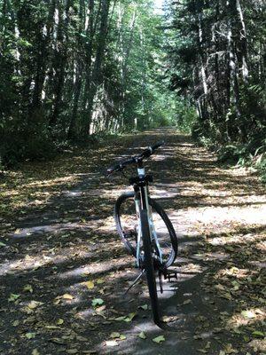 Olympic Discovery Trail & Fort Flagler Bike FUN!!