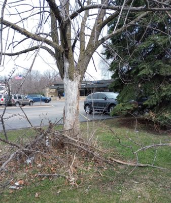 A little property maintenance is called for at the Chase Bank on Washington Rd. st 30th Ave. in Kenosha.