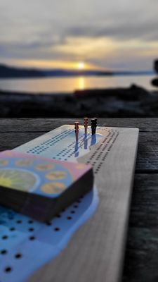 New Year's Eve cribbage game on the beach.