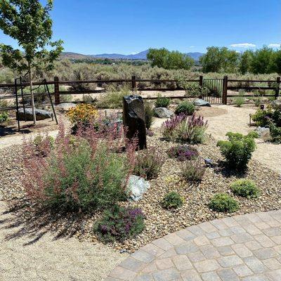 Pollinator friendly landscaping in Minden Nevada