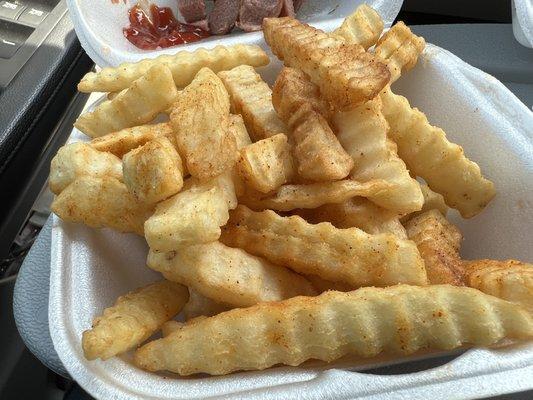 Seasoned fries ... piping hot