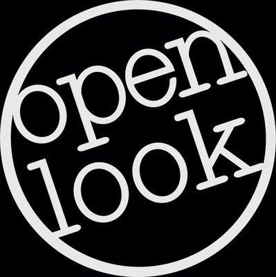 Open Look Business Solutions Logo