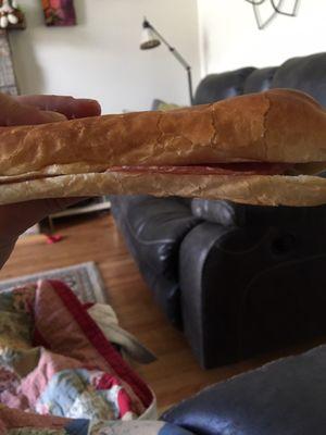 Just spent ten bucks on two pieces of bread. I know it's a chain but does this even constitute a sandwich?