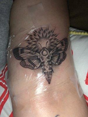 Moth tattoo