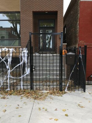 Wrought Iron gate with mesh