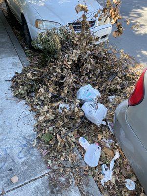 Branches and litter that were trimmed from the property then left/pushed to the sidewalk and curb.