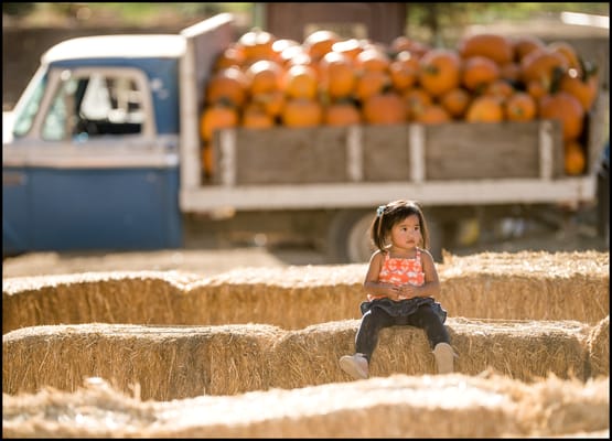 Lombardi Ranch